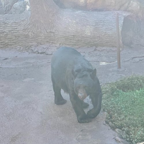 Carousel post from kodi1988.