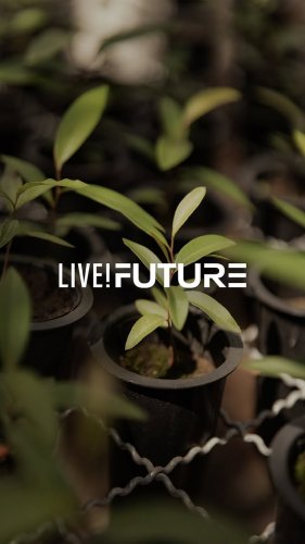 Video post from liveoficial.