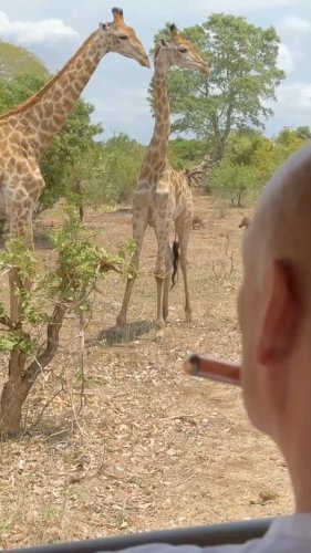 Video post from wouterkellerman.