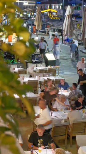 Video post from jandewit.4848.