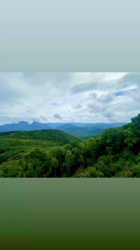 Video post from danas_secret_closet.