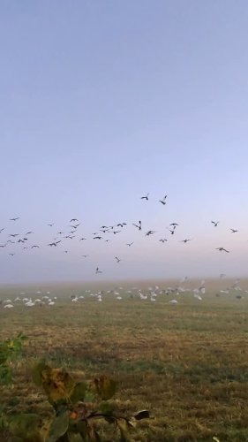 Video post from northernskiesoutfitters.