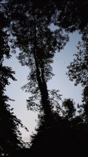 Video post from frome_nature_photography_group.