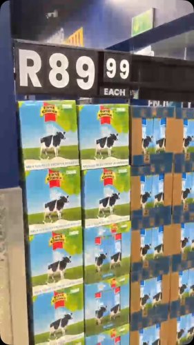 Video post from festival_mall.