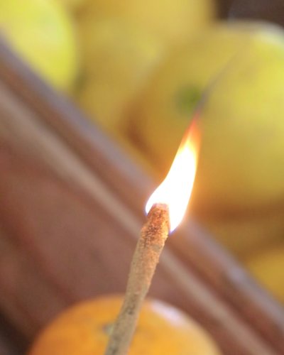 Photo post from currumbinvalleyharvest.