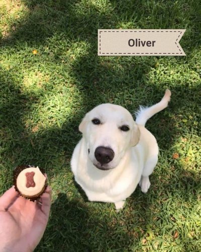 Photo post from smallcakestyler.