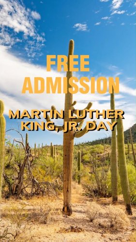 Video post from visittucson.