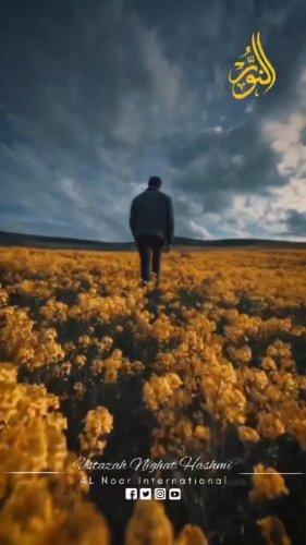 Video post from nighathashmi.