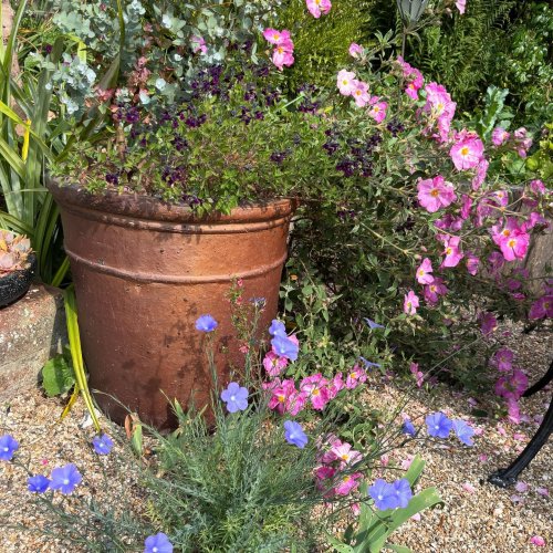 Photo post from gardenhousebrighton.