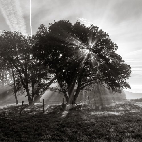 Photo post from rpslandscape.