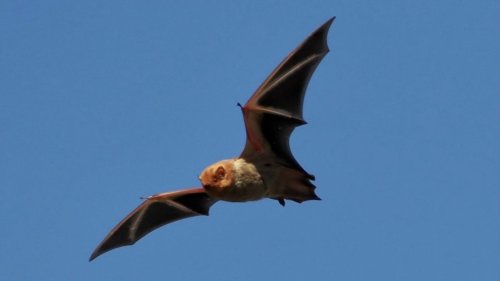 Photo post from ebrpd.