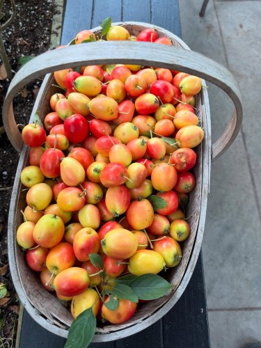 Photo post from gardenhousebrighton.