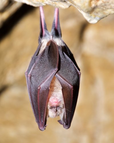 Photo post from growwilderawt.