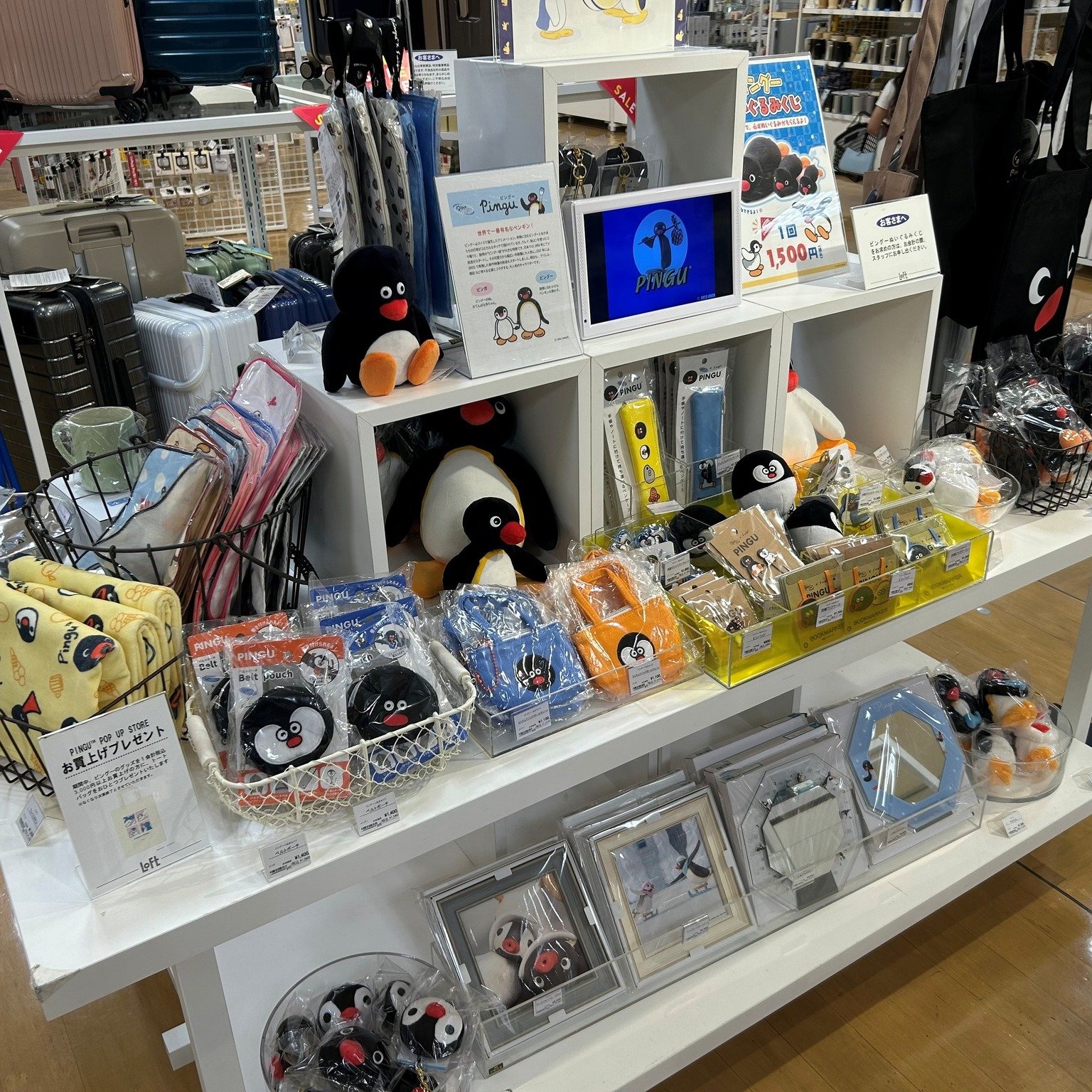 Carousel post from pingu_jp.