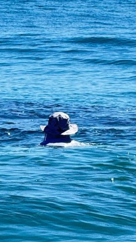 Video post from ejs_fishing_charters.