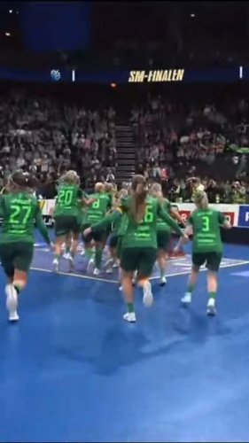 Video post from kauppitwins.