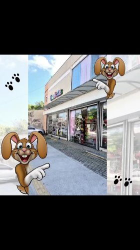 Video post from brasfestas.