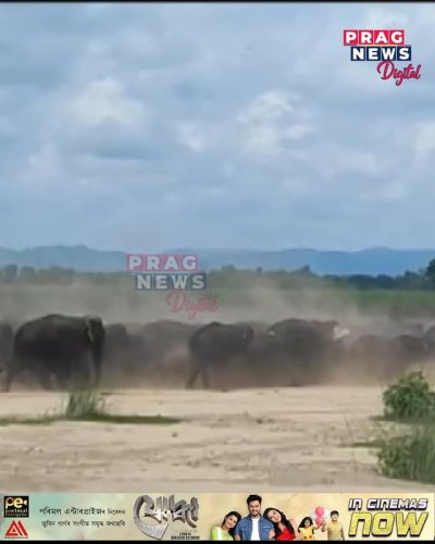 Video post from pragnewsofficial.