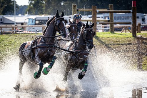 Carousel post from fei_global.