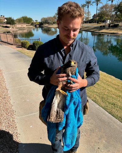 Carousel post from desertkingsfalconry.