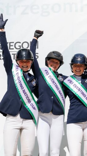 Video post from fei_global.