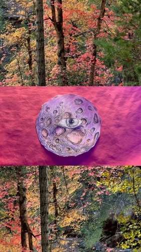 Video post from mellow.toad.