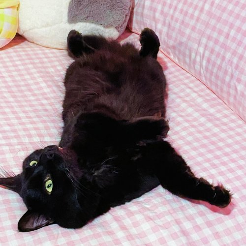 Photo post from margaritabloom.