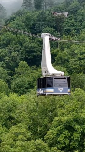 Video post from thegatlinburgtram.