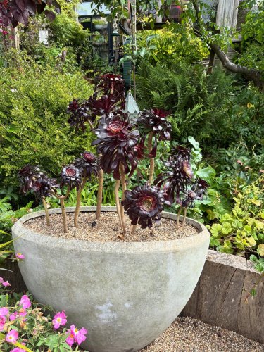 Carousel post from gardenhousebrighton.