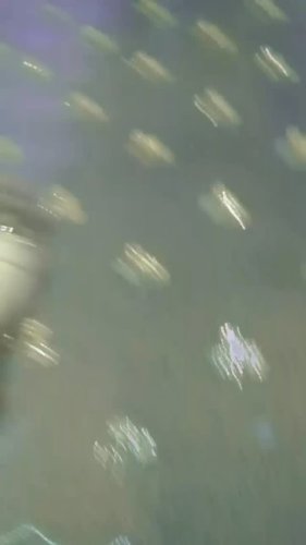 Video post from nahidakhatun15.