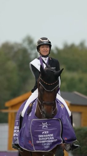 Video post from fei_global.