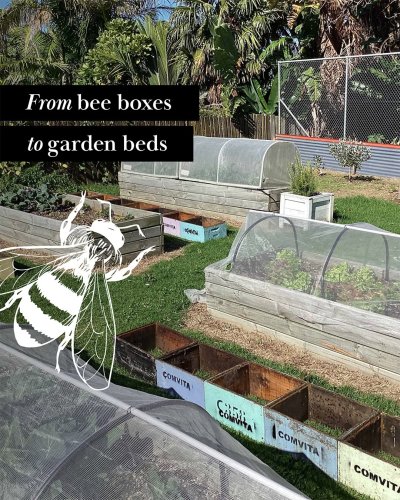 Carousel post from comvita_nz.