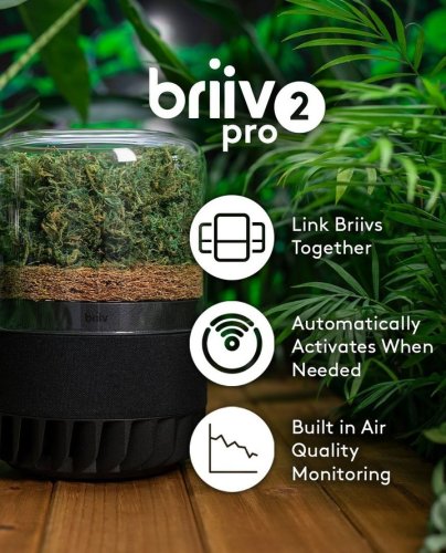 Photo post from briiv.natural.