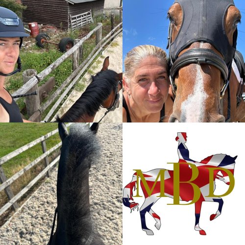 Photo post from mbddressage.