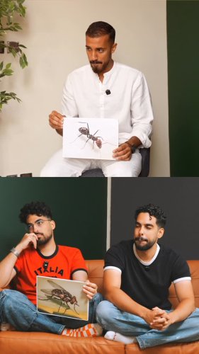 Video post from omar_abuz.