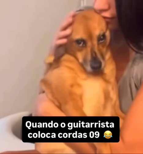 Video post from miyatamusic.