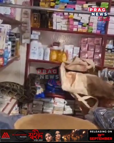 Video post from pragnewsofficial.