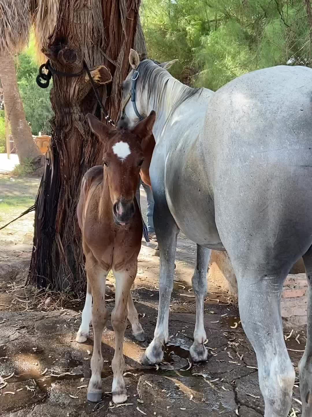 Carousel post from rlos.potros25.