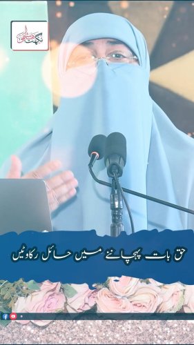 Video post from nighathashmi.