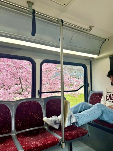 Photo post from bostoncollege.