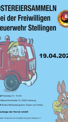 Video post from ff_stellingen.