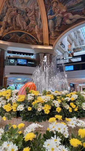 Video post from galeriaspacificoshopping.