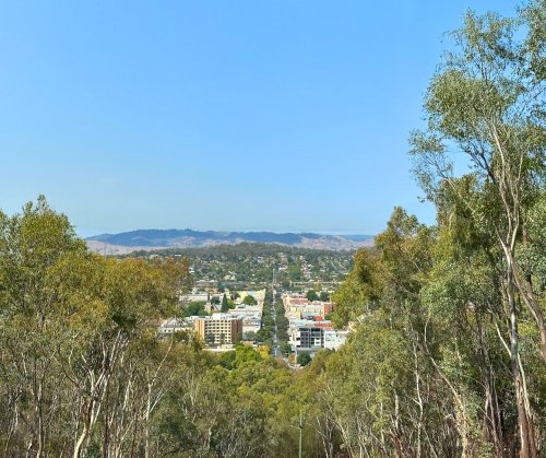 Photo post from alburycity.