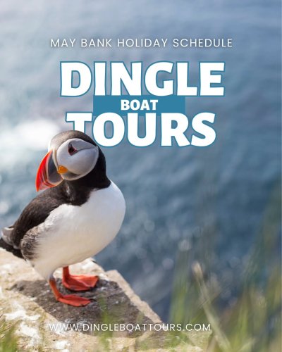 Photo post from dinglepeninsulatourism.
