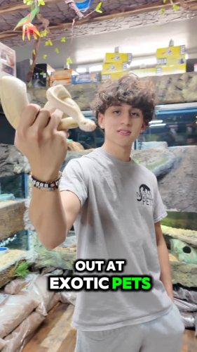 Video post from njexoticpets.