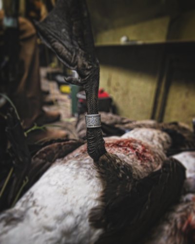 Photo post from northernskiesoutfitters.
