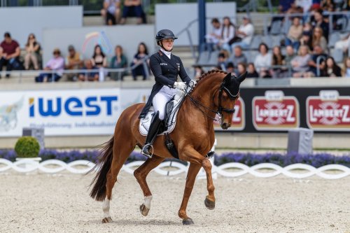 Photo post from fei_global.