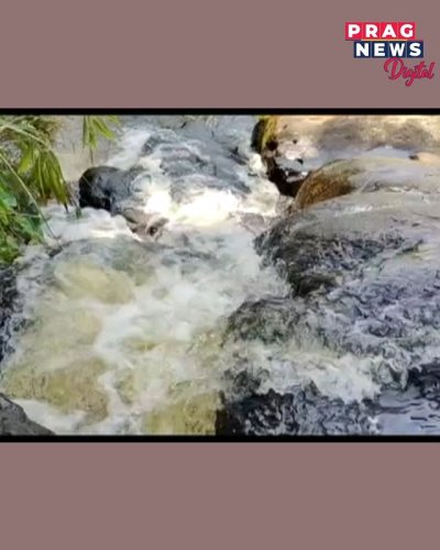 Video post from pragnewsofficial.