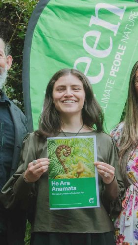 Video post from nzgreenparty.