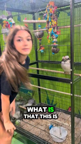 Video post from njexoticpets.
